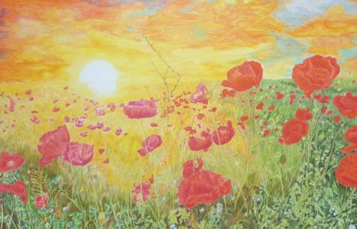 Rot blüht der Mohn