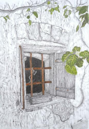 Kellerfenster 09