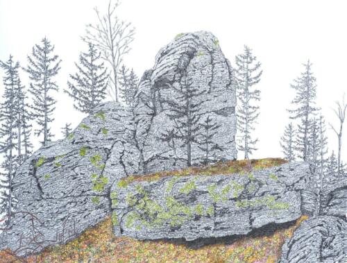 Waldviertel 05